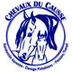 Chevaux du Causse - Randonnées équestres, Elevage Pintabian