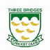 Three Bridges Cricket Club