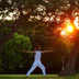 Yoga Yucca -Yoga classes at Stillpointyoga Brixton and Live Online