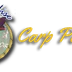 Carp Paradise