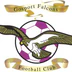 The Monckton Sports Ground Gosport Falcons FC