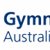 NinjaGym