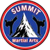 2024 Summit Open Martial Arts Challenge