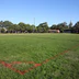 Balmain Road Sporting Ground