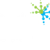 Gecko Sports Inner West Sydney