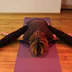 Alchemy Yoga Pembrokeshire
