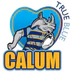 Llantwit Fardre Rugby Football Club