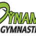 Dynamo Gymnastics Inc.
