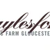 Adlestrop Daylesford & Oddington Cricket Club