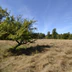 South Surrey Youth Park