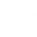 Academy of Lions