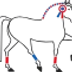 CENTRE EQUESTRE DU PLESSIS BOUCHARD