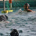 SR Colmar Natation