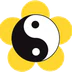 Kung Fu Chang - APAMC