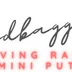 Sandbaggerz Driving Range & Mini Putt