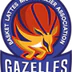 Basket Lattes Montpellier Agglomération