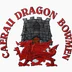 Caerau Dragon Bowmen