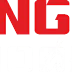 The Kung Fu School