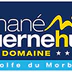 Camping Mané Guernehué 5 étoiles Golfe du Morbihan