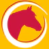 Canberra Riding Club Pony Club