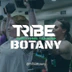 Tribe Botany