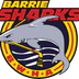 Barrie Women's Hockey Association