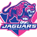 Jaguars Netball Club
