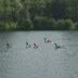 Windsorview Lakes