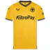 Wolverhampton Wanderers Football Club