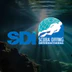 Dream Divers Ltd