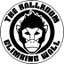 The Ballroom Climbing Wall