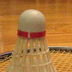 Abbotsford Badminton Club