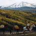 U Bar Ranch