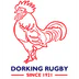 Dorking RFC Minis Festival