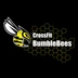 Crossfit Bumblebees Besançon
