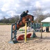 ECURIE DU PLONGEON