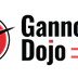 Gannon's Martial Arts - Lincoln
