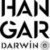 Hangar Darwin Skatepark