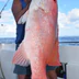 Rainbow Escape Charters