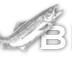 Bamfield Fishing Charters