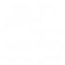 Brighton Dolphin Swimming Club
