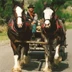 Clydesdale Horse Drawn Wagons