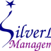 SilverLee Stage School