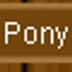 Own a Pony Day