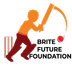 Brite Innovative Cricket Academy