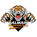 Balmain Touch Football Association