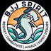 BJJ Spirit