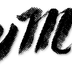 Oxymaur Taï Chi