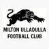 Milton Ulladulla Football Club