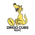 Dingo Cubs Rugby Union Football Club
